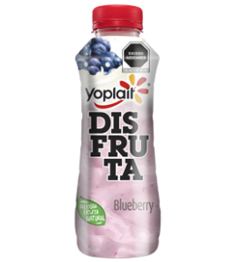 YOGHURT DISFRUTA BEBIBLE BLUEBERRY