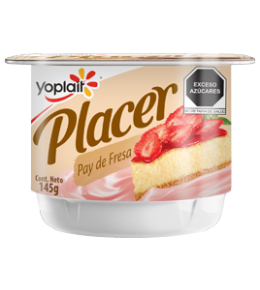 YOGHURT PLACER BATIDO PAY FRESA