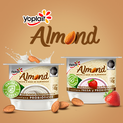 Yoplait Almond